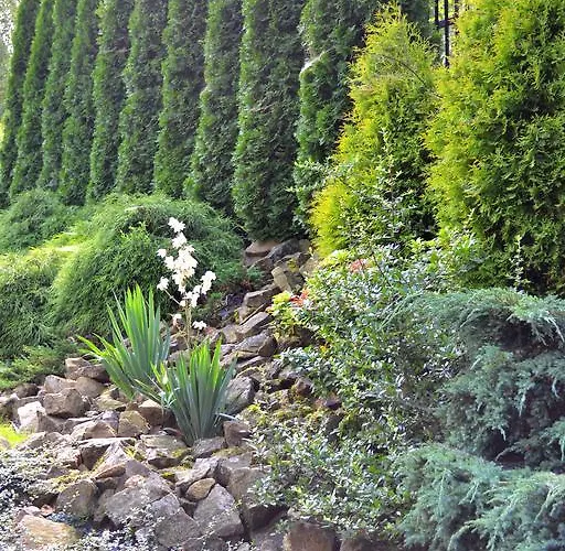 - Restauracja Koral Hotel 3*